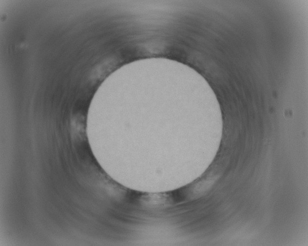 X0000070430672200606231919