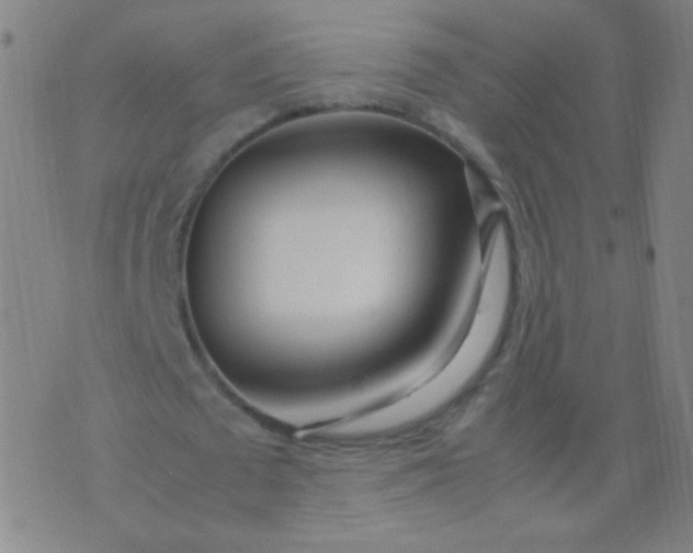 X0000070430673200606231919