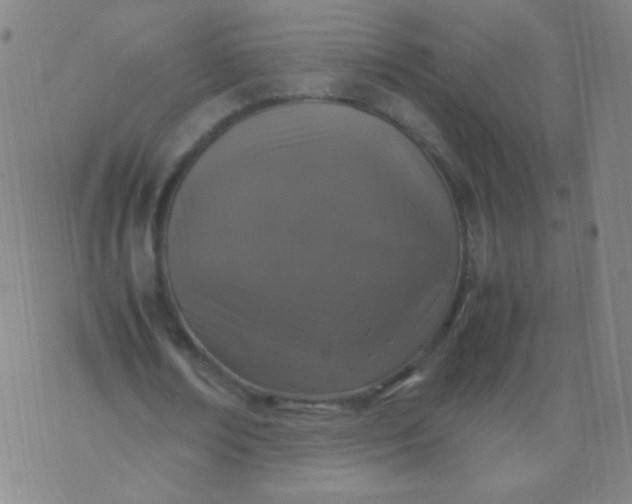 X0000070430674200606231919