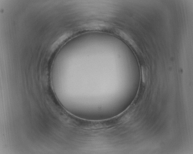 X0000070430675200606231919