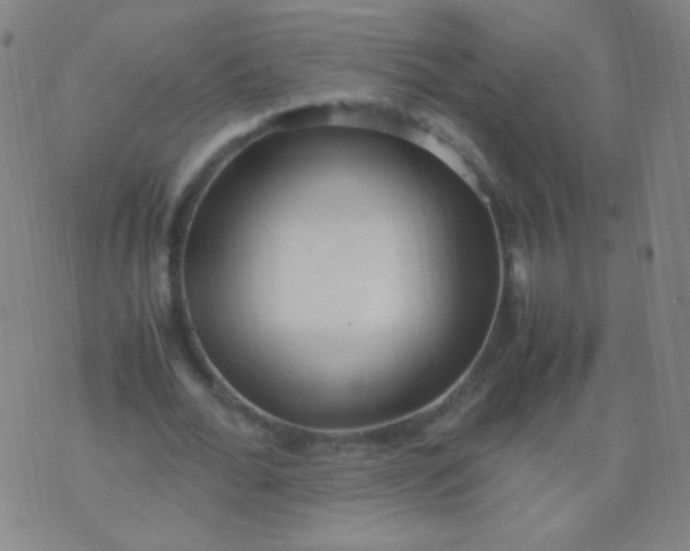 X0000070430676200606231919