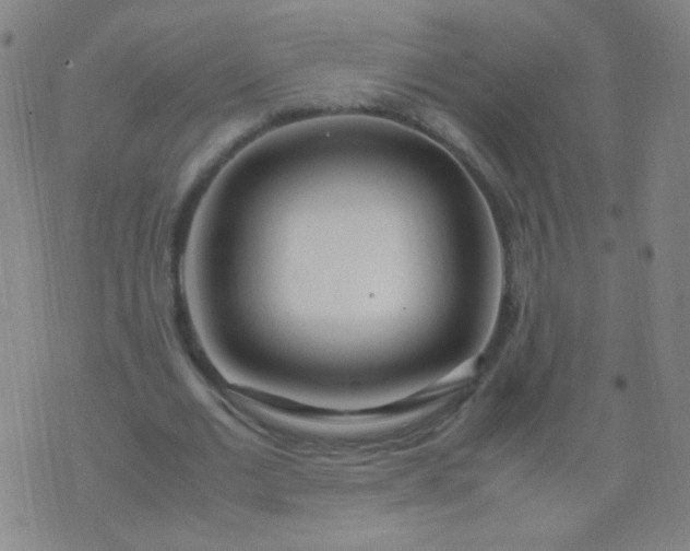 X0000070430677200606231918