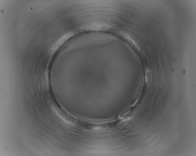 X0000070430678200606231918