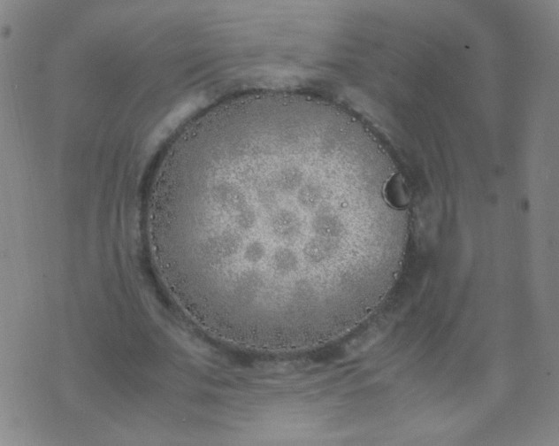 X0000070430679200606231918