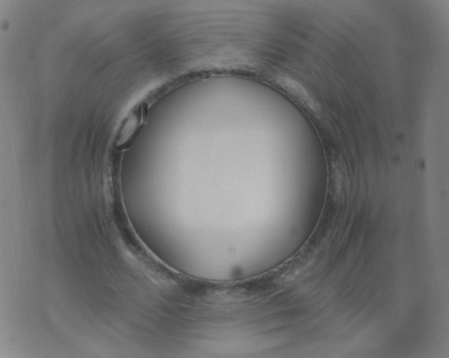 X0000070430680200606231918