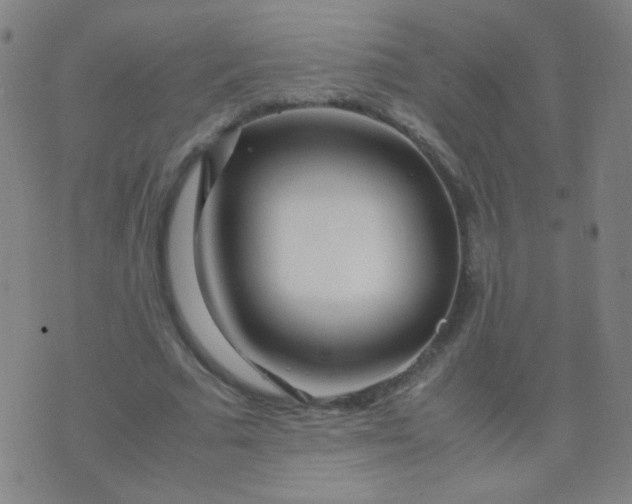 X0000070430681200606231918