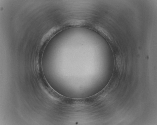 X0000070430682200606231918