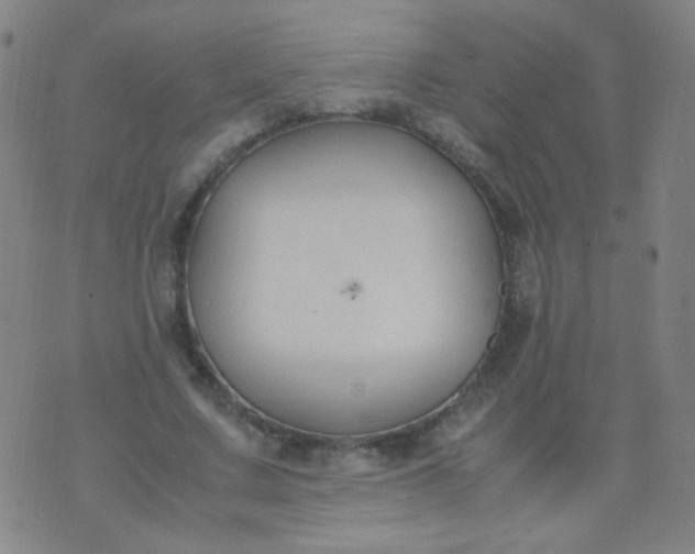 X0000070430683200606231918