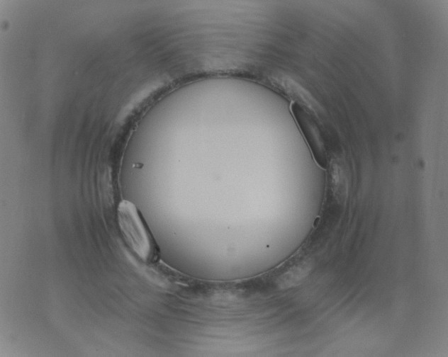 X0000070430684200606231918