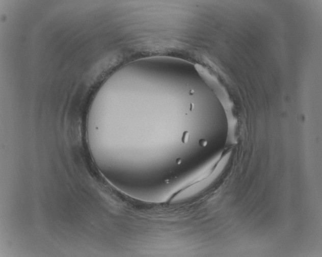 X0000070430685200606231918