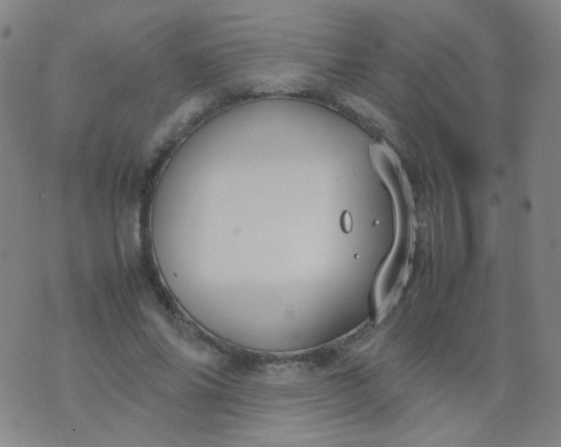 X0000070430686200606231918