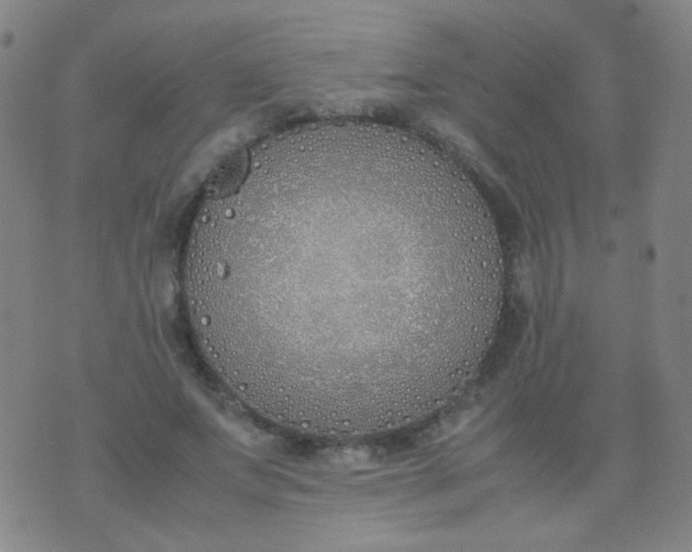 X0000070430687200606231918