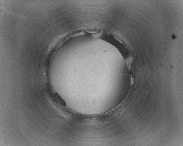 X0000070430688200606231918