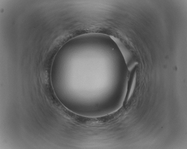 X0000070430689200606231918