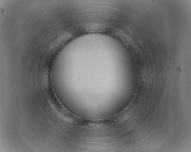 X0000070430690200606231918