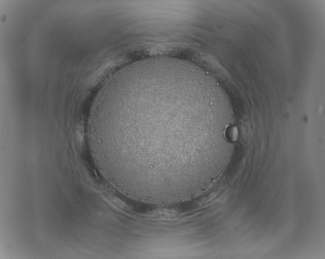 X0000070430691200606231918