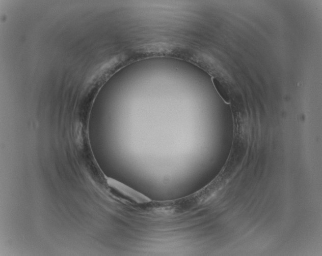 X0000070430692200606231918