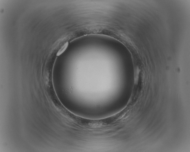 X0000070430693200606231918