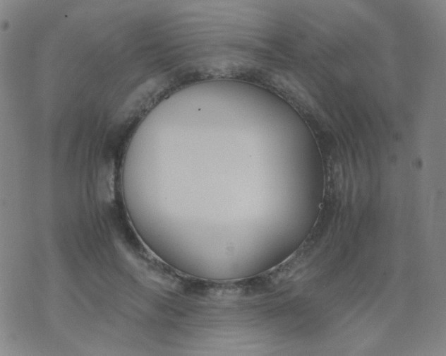 X0000070430694200606231918