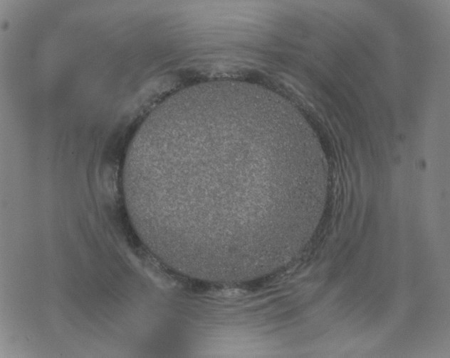 X0000070430695200606231918