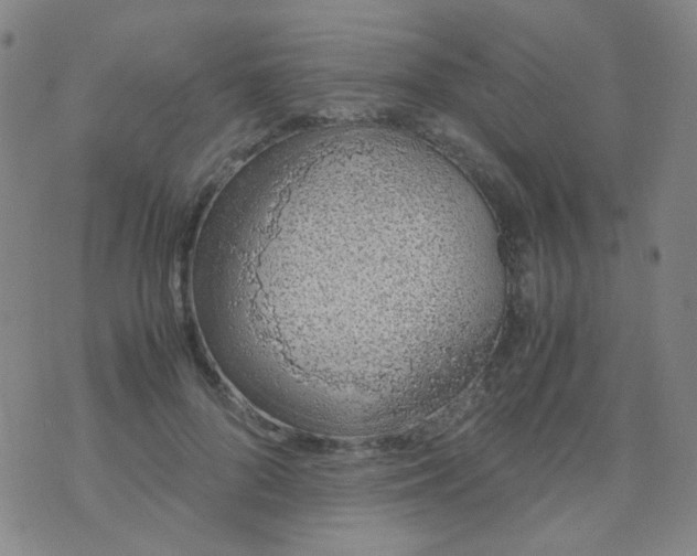 X0000070430696200606231918