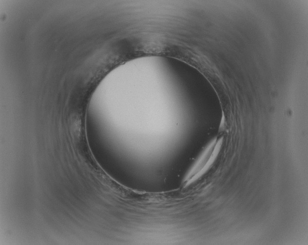 X0000070430697200606231918