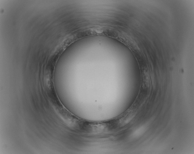 X0000070430698200606231918