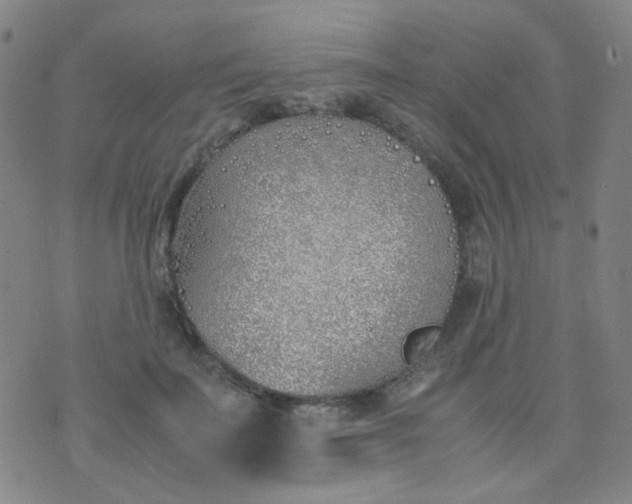 X0000070430699200606231918