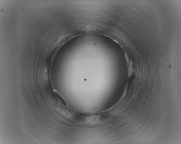 X0000070430700200606231918