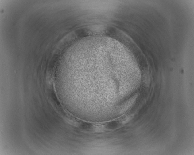 X0000070430701200606231918