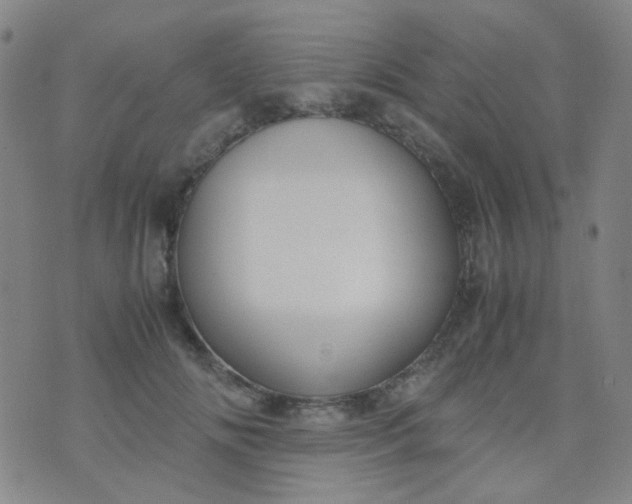 X0000070430702200606231918