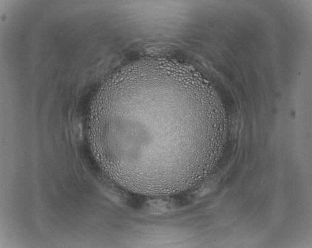 X0000070430703200606231918