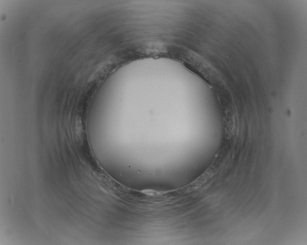 X0000070430704200606231918