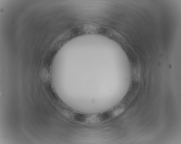 X0000070430705200606231918