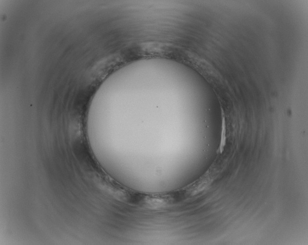 X0000070430706200606231918