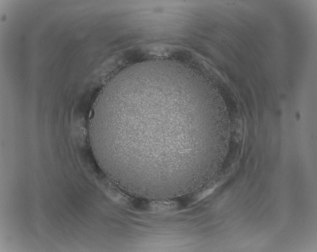 X0000070430707200606231918