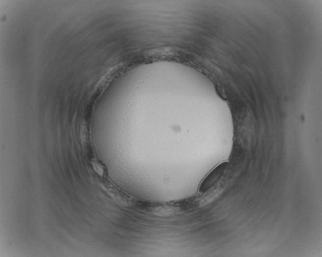 X0000070430708200606231918