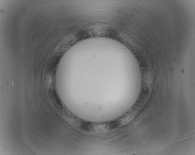 X0000070430709200606231918