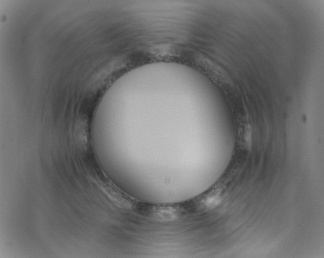 X0000070430710200606231918