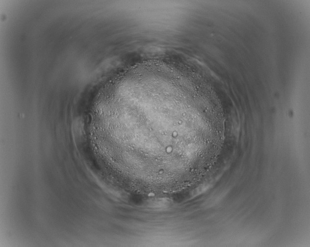 X0000070430711200606231918