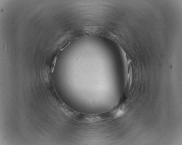 X0000070430712200606231918