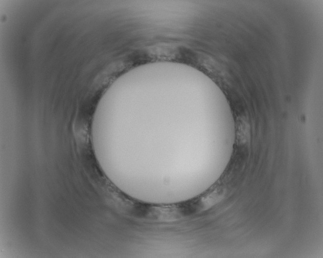 X0000070430713200606231918