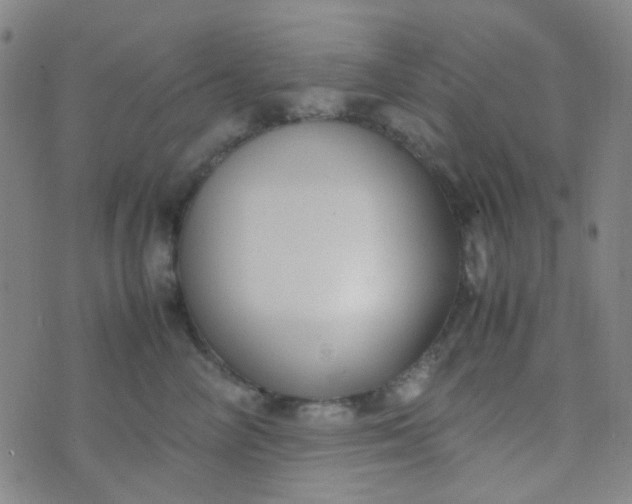 X0000070430714200606231918