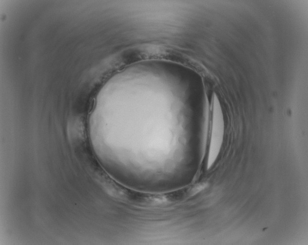 X0000070430715200606231918