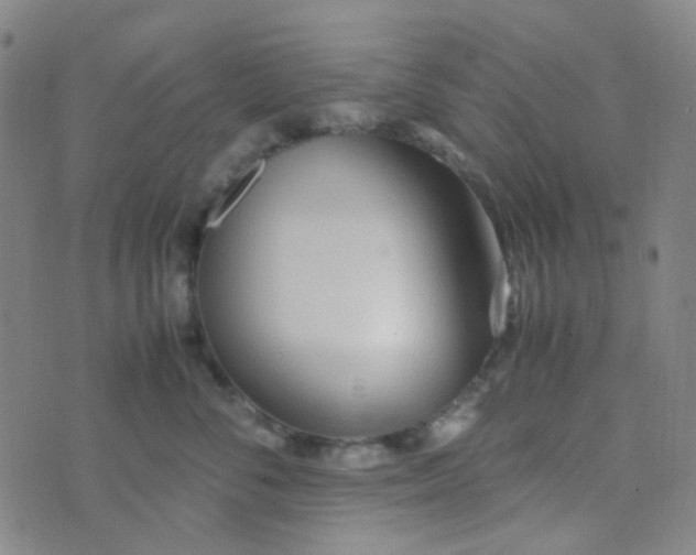 X0000070430716200606231918