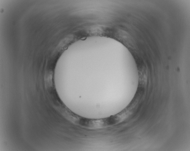 X0000070430717200606231918