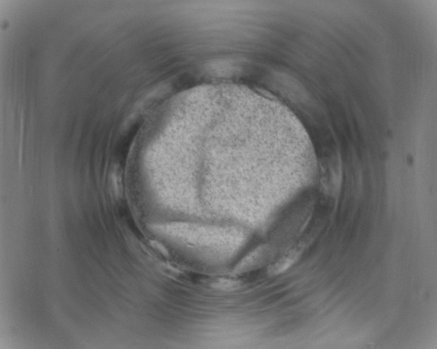 X0000070430718200606231918