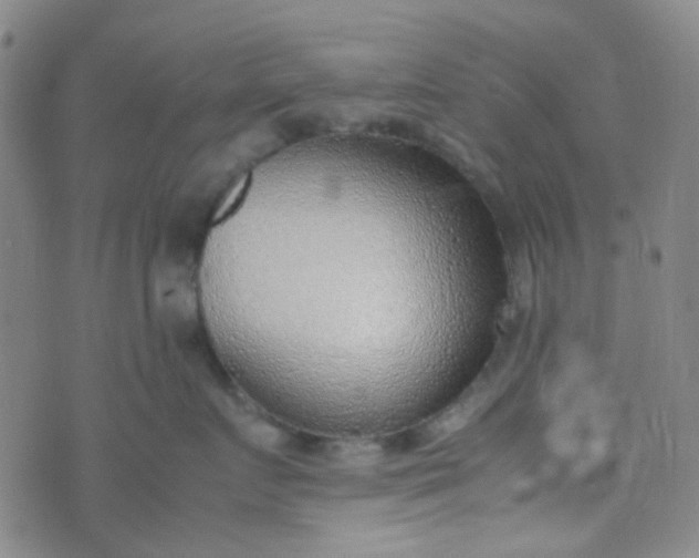 X0000070430719200606231918