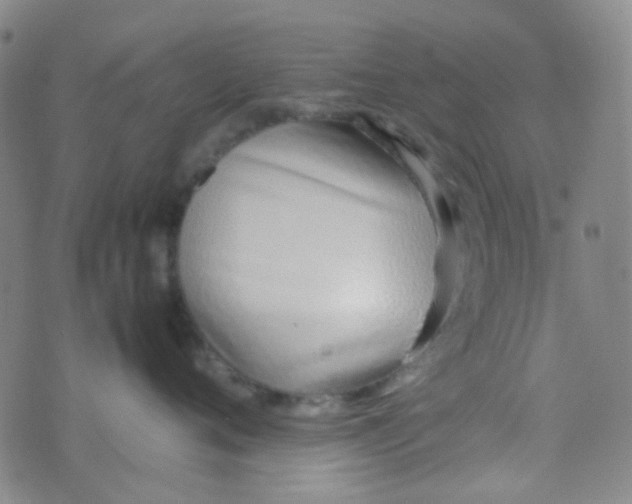 X0000070430720200606231918