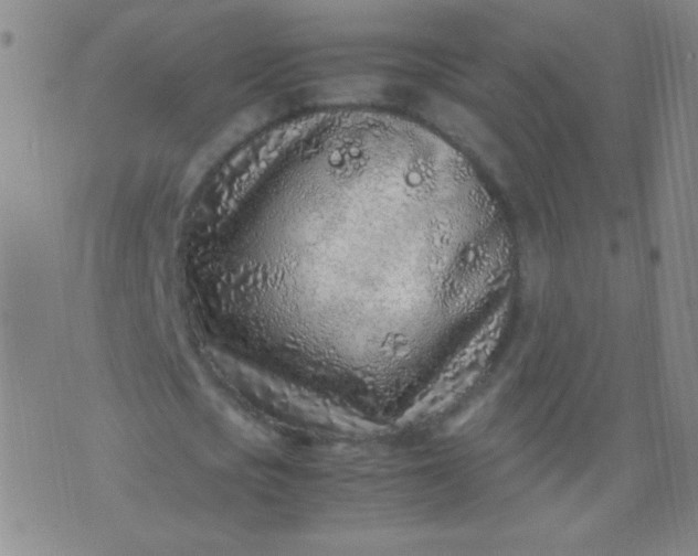 X0000070430721200606231917